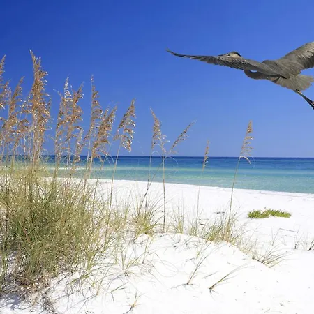 Cozy Canaveral Beach Condo! Next To Nasa Launch Site Cape Canaveral Exterior foto