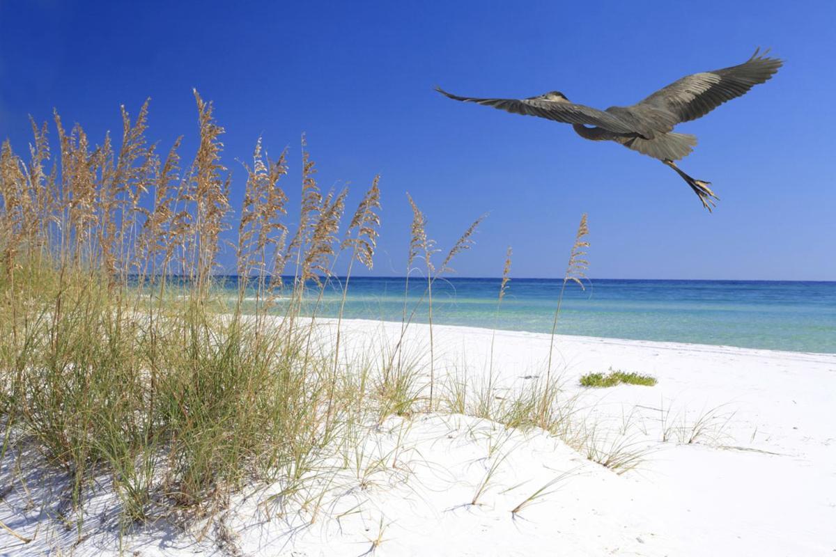 Cozy Canaveral Condo! Next To Nasa Launch Site Apartment Cape Canaveral